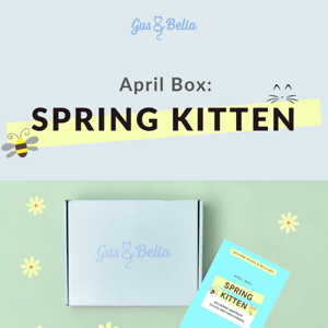 🐝 April Box Revealed: SPRING KITTEN