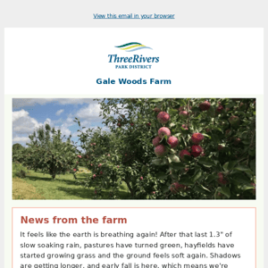 News from the Farm: tomato box sale, new beef bacon, get excited for fall and more!