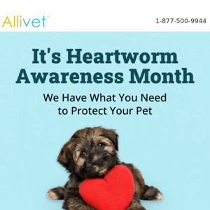 Heartworm Awareness Month is Almost Over