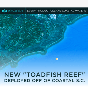 New Toadfish Reef Deployed! 🌊