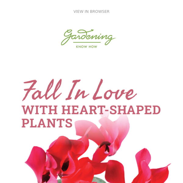 Fall In Love: Heart-Shaped Plants ❤