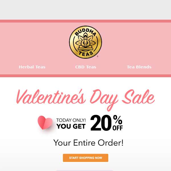 ❤️ Valentine's Day Sale: Get 20% OFF All Products, TODAY ONLY!