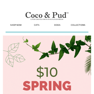 🧶 $10 Spring Sweater Clearance 🌸