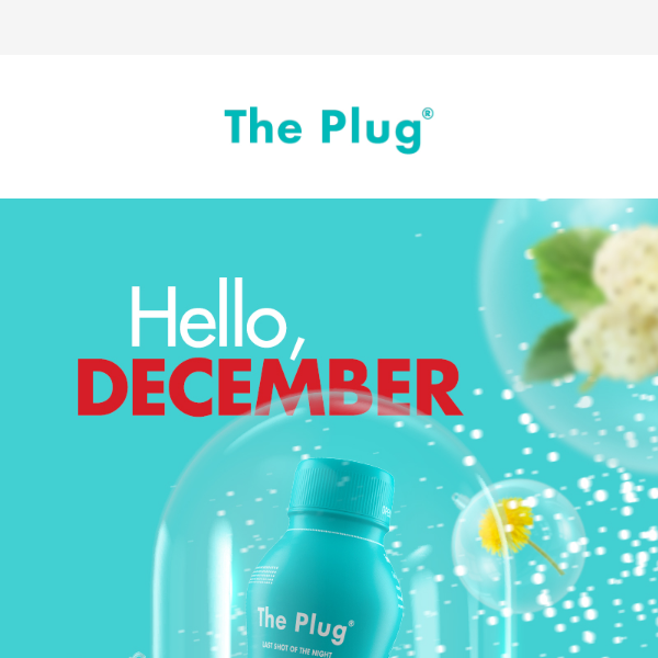 Time to deck the halls, The Plug Drink.