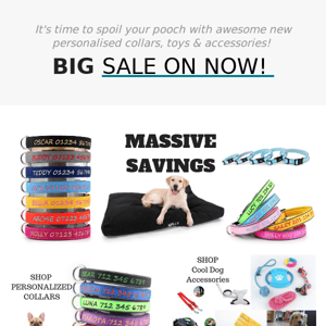 BIG Deals For YOUR PET!