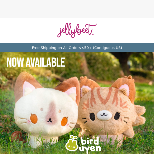 🌸 💖 Add Joy to Someone's Day with All New Birduyen Plushies!