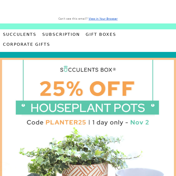 Today Only! 25% Off Houseplant Planters