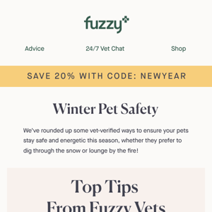 Winter Pet Health: Everything You Need to Know