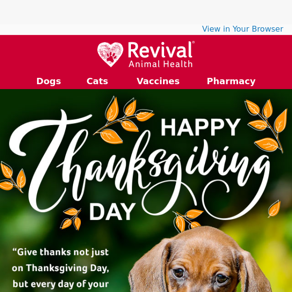 Happy Thanksgiving! We're So Thankful for You! - Revival Animal Health