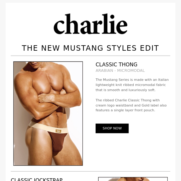 Charlie by matthew zink mens underwear  vintage microstripe classic jock  strap – Charlie By Matthew Zink
