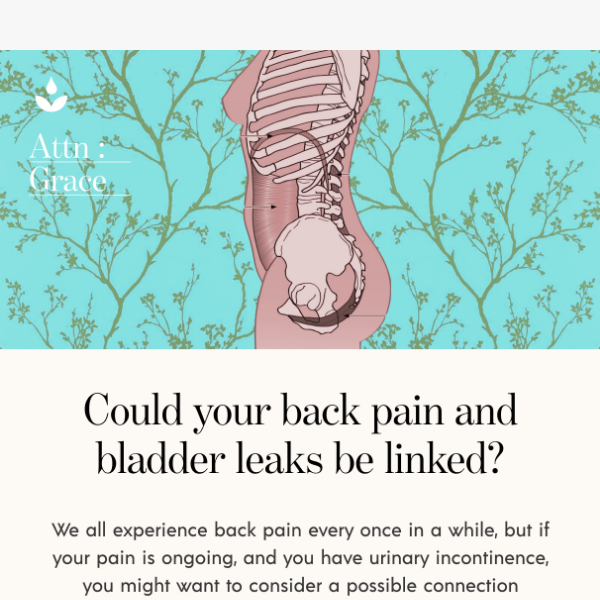 Back Pain and Bladder Leaks