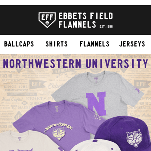 Discover Furpaw, Northwestern's First Mascot