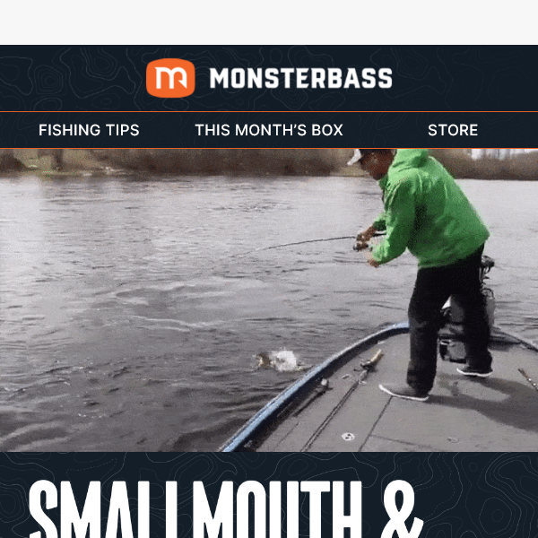Tubes, Frogs, and Topwater Fishing - Monsterbass