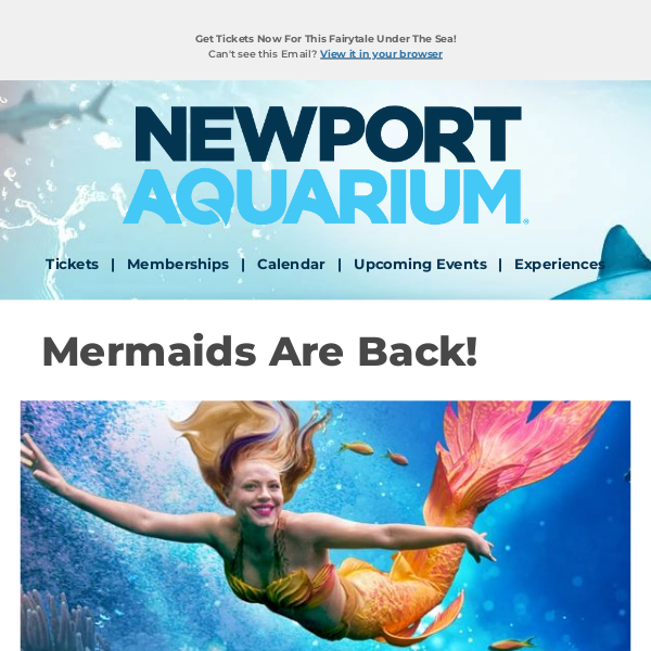 Mermaids Are Back Starting This Saturday!