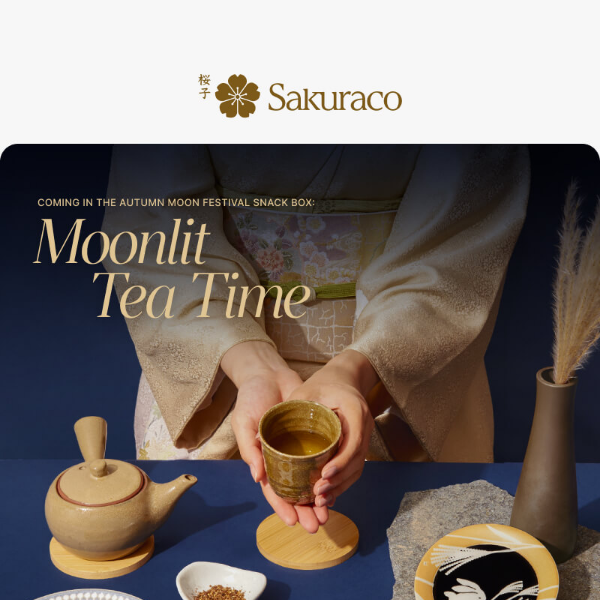 🍵 Tea Time Under the Moonlight