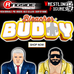 WWE 24 inch Bleacher Buddies In Stock!