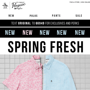 Meet your warm weather shirts