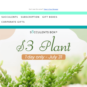 Get a $3 Plant Today- Limited Time Offer!