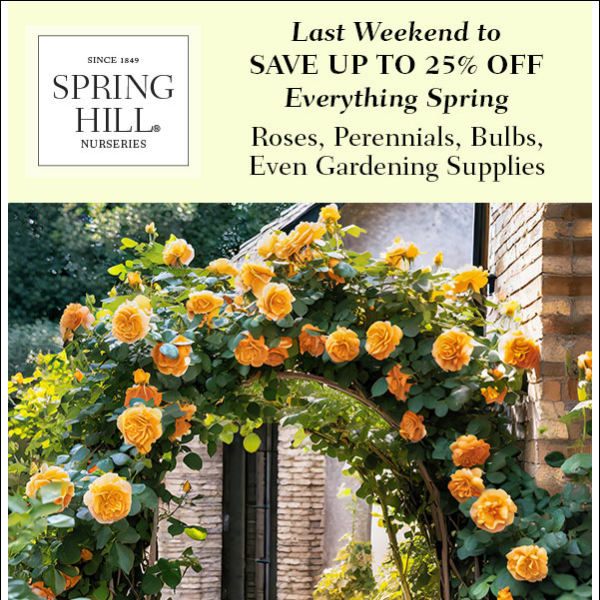 🌷🏵️ LAST WEEKEND for Our Spring Sale🏵️🌷