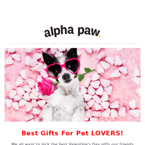 Best Gifts 🎁 For Pet Lovers 💕 this Valentine