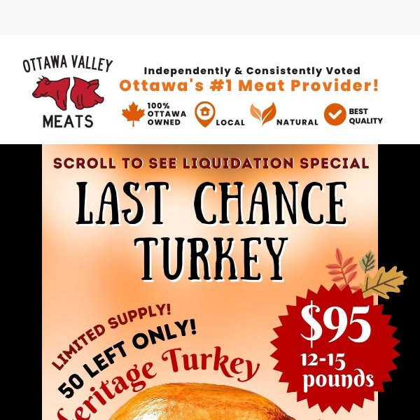 🦃 Limited Stock: Thanksgiving Turkeys Back at Ottawa Valley Meats! 🥩