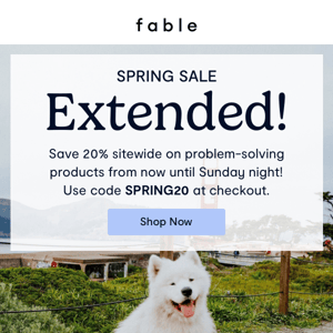 Spring Sale Extended!