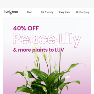 40% off Peace Lily & More Plants to LOVE 💝