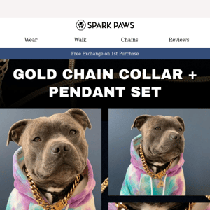 Level up your dog's street cred with this😎💎