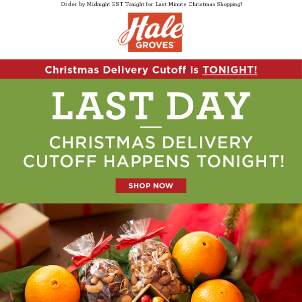 🎄 LAST DAY - Christmas Delivery Cutoff Happens TONIGHT! 🎁