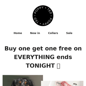 Ending tonight: Buy one get one free on EVERYTHING 👀