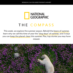 The Compass: Behold the bears of summer, why it's called the "dog days" of summer, and 5 ways to keep the planet clean.