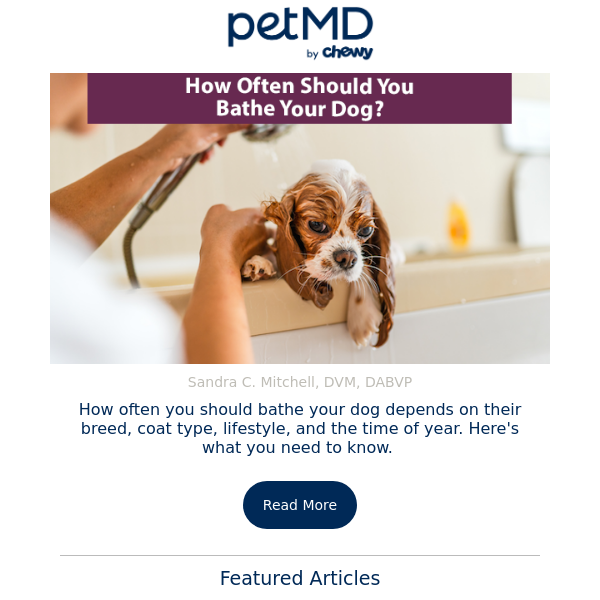 How Often Should You Bathe Your Dog?