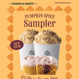 For the Pumpkin Spice Lovers ⭐️