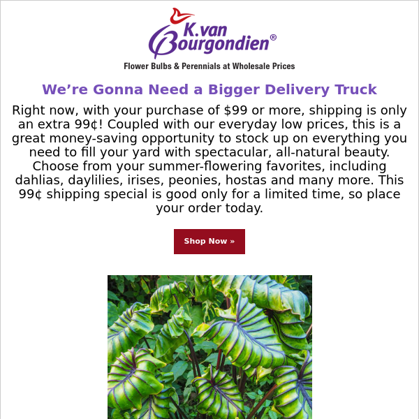 Announcing 99 for 99: Get 99¢ Shipping on $99 Orders