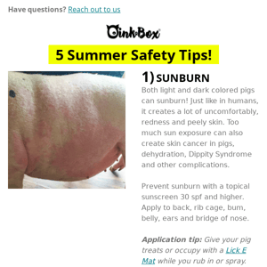 5 Summer Safety Tips For Your Piggy!