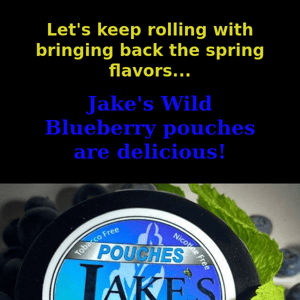 Wild Blueberry pouches are back for the spring!