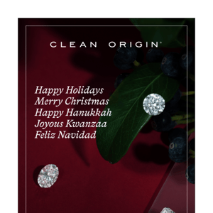 Happy Holidays from Clean Origin