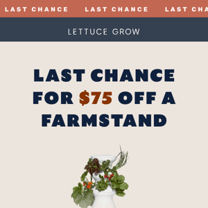 LAST CHANCE FOR $75 OFF 🥬