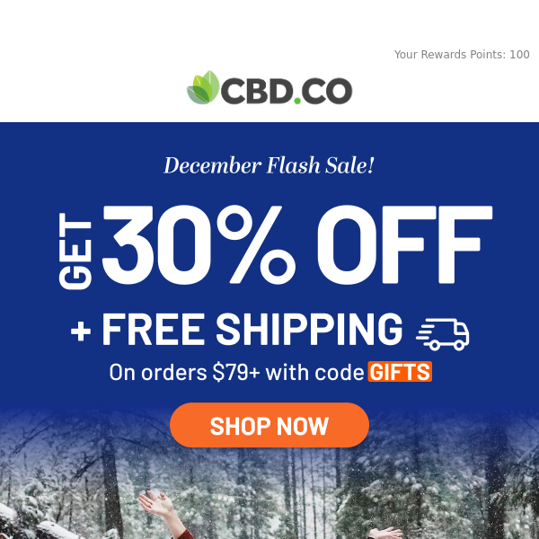 December Flash Sale: Get 30% OFF + FREE shipping!