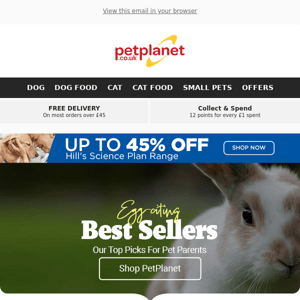 Discover Top Sellers: Pet Favourites Await!