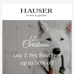 Day 2: Pet Boutique up to 50% off