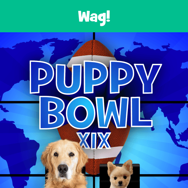 Puppy Bowl plans?