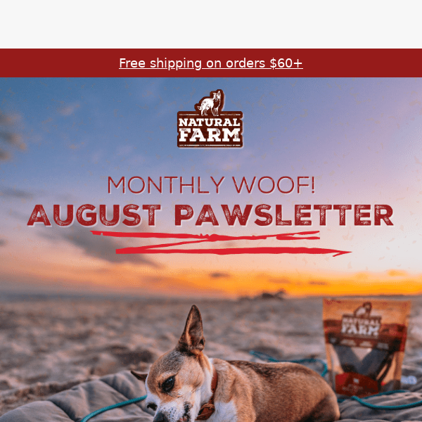 Monthly Woof: August Pawsletter 🐾