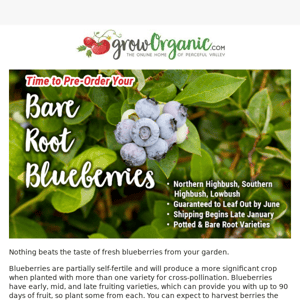 Order Your Blueberries for Summer Harvest