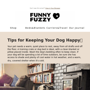 Tips for Keeping Your Dog Happy🐶