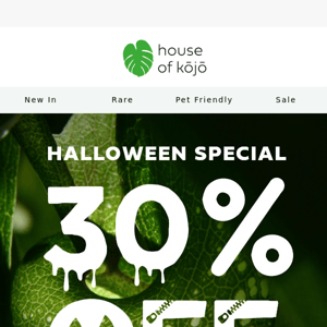 Get 30% off everything this Halloween weekend! 🎃🌟