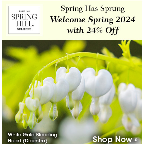 Welcome Spring and Save - 24% Off for 2024
