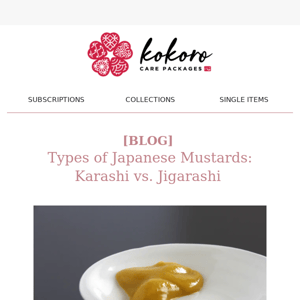 🍢 [BLOG] Types of Japanese Mustard: Karashi vs. Jigarashi
