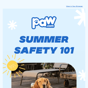 Summer Safety Tips For Your Pet ☀️🐕