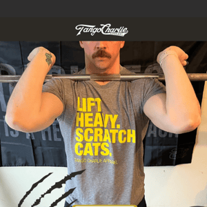 Lift Heavy. Scratch Cats. 🐱